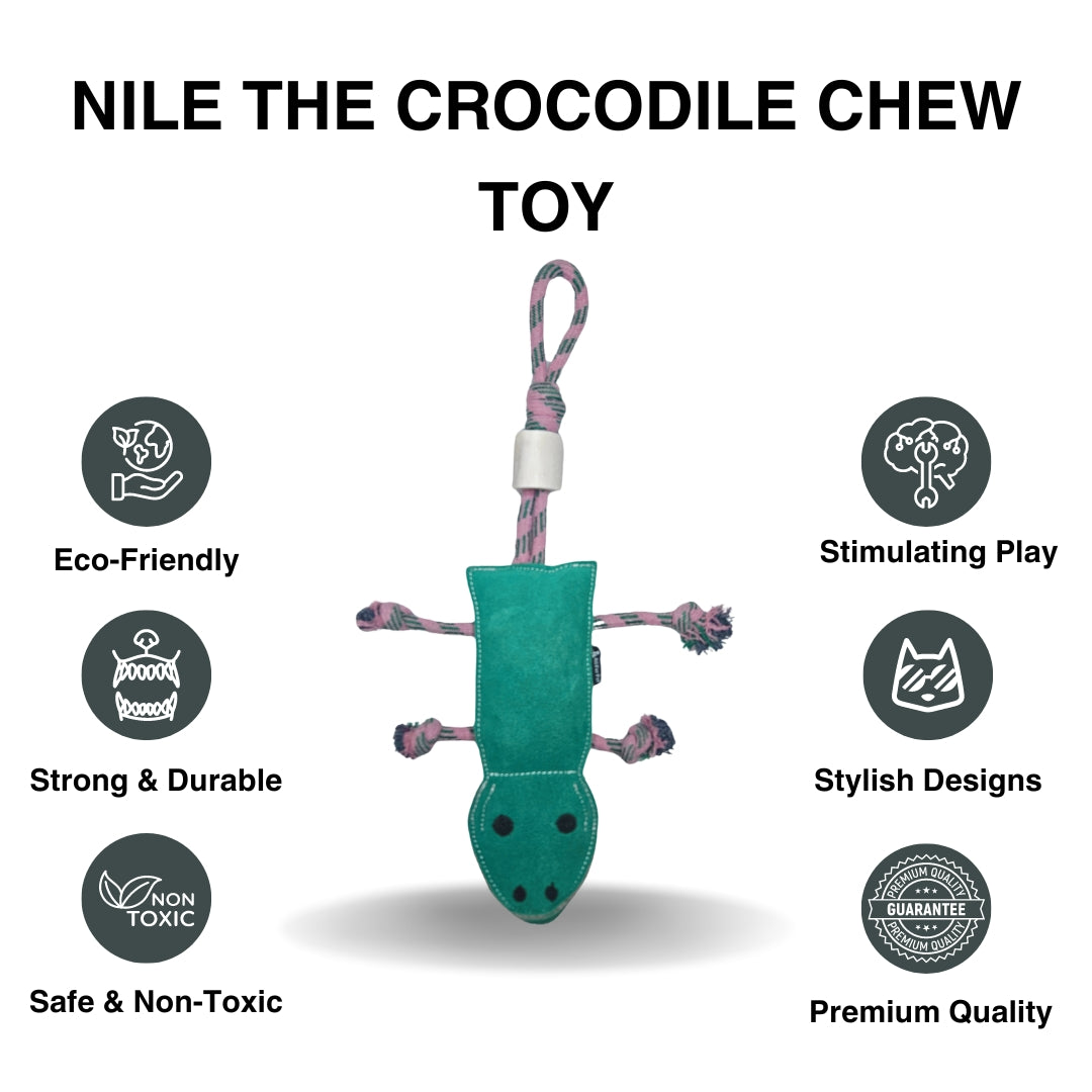 Nile The Crocodile | Dog Toy