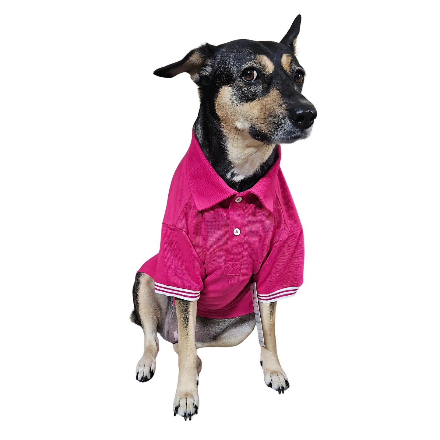Polo T-Shirt with Skirt (Female Dogs) - Rose Pink