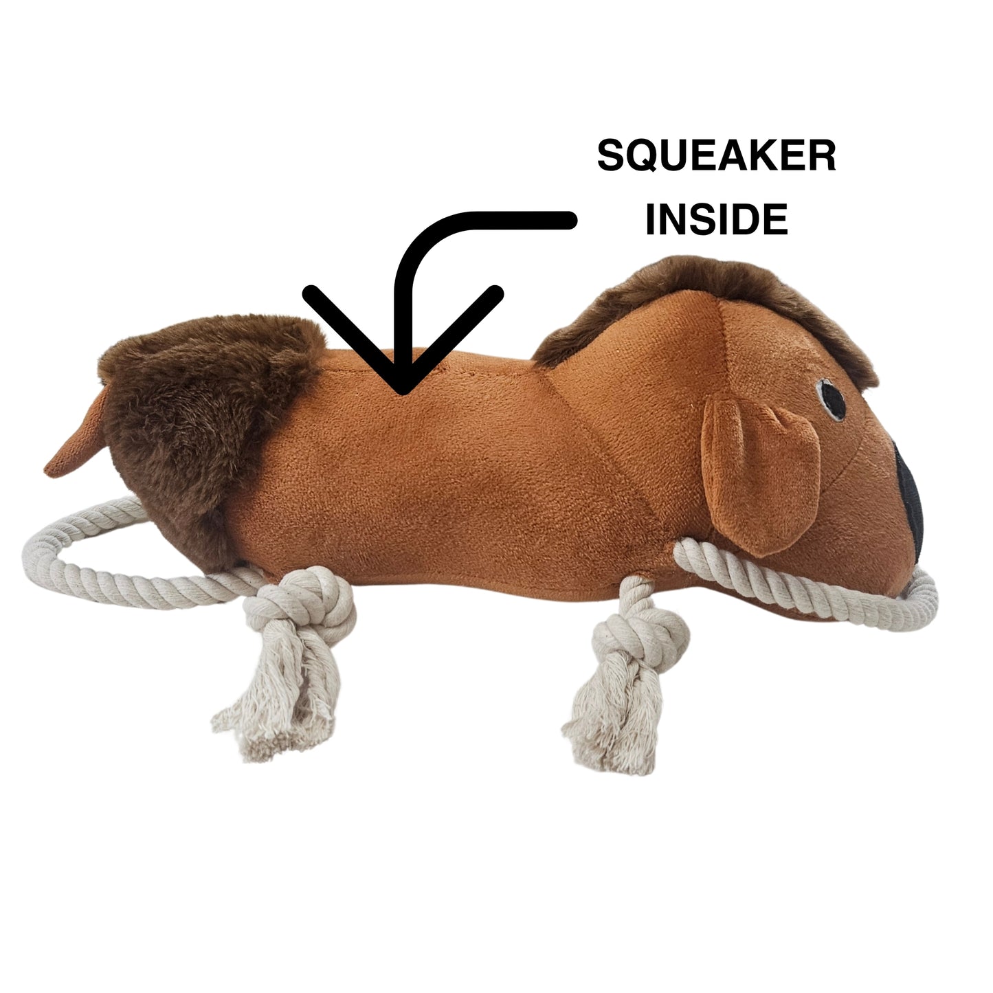 Squeaky Dog | Dog Toy