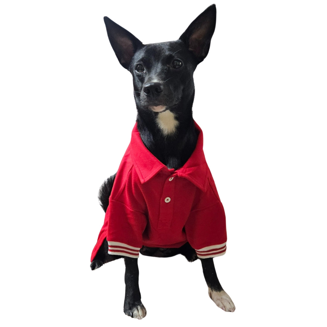 Polo T-Shirt (Unisex) - Classic Red