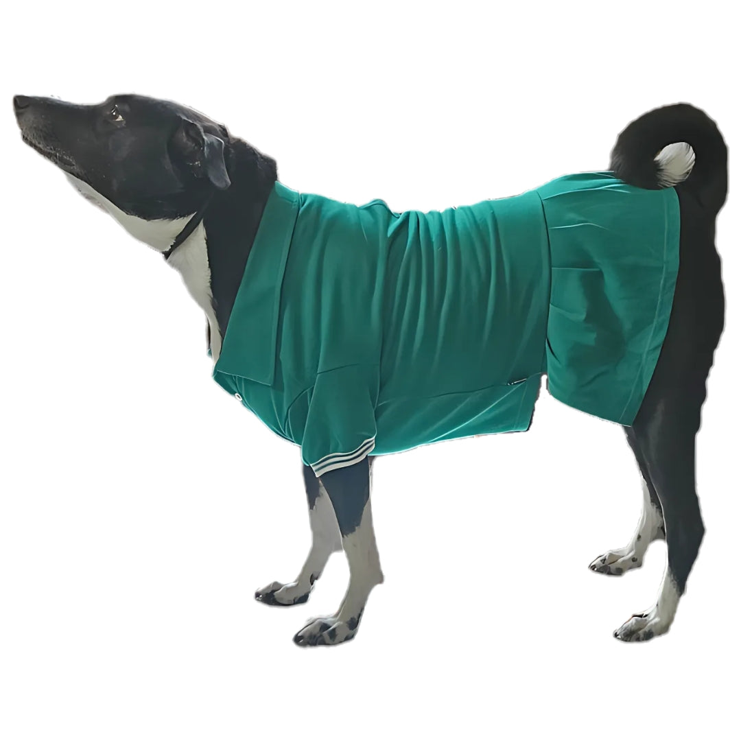 Polo T-Shirt with Skirt (Female Dogs) - Teal Green