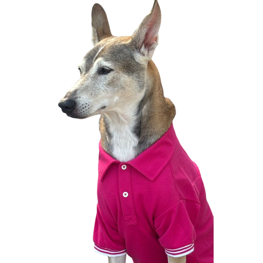 Polo T-Shirt (Unisex) - Rose Pink