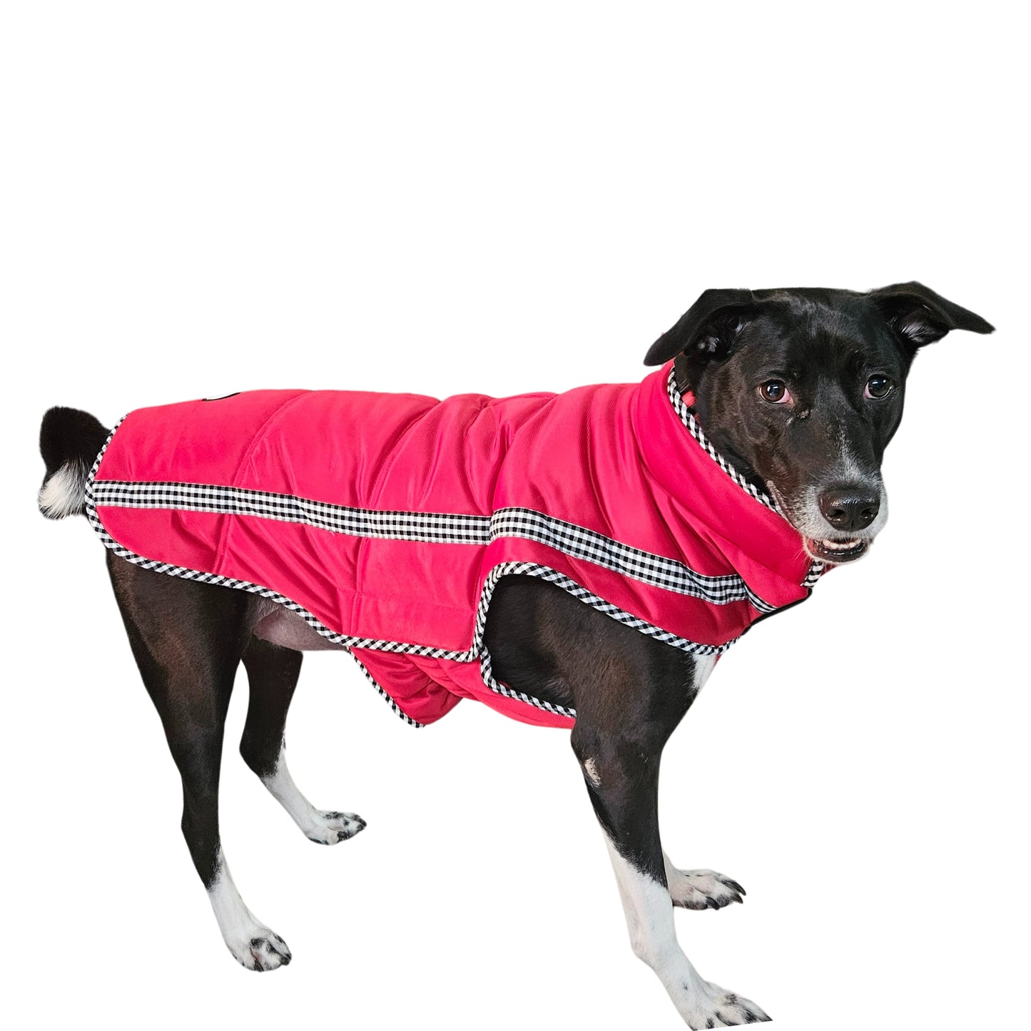 Pet Jacket - Ruby Red