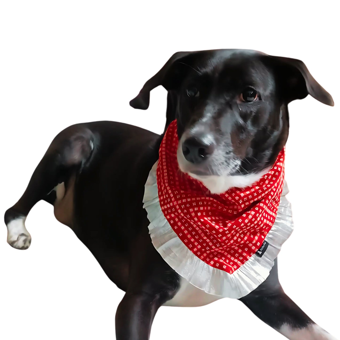Red Bandhani | Knot & Tie Bandana