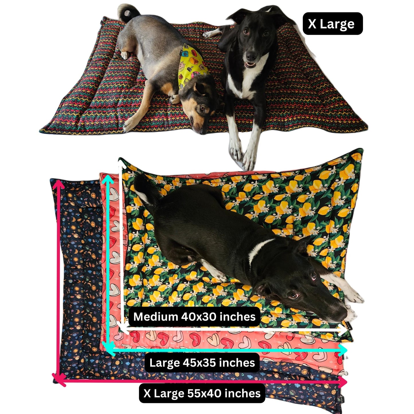 Let's Play /Dog Print Pet Mat