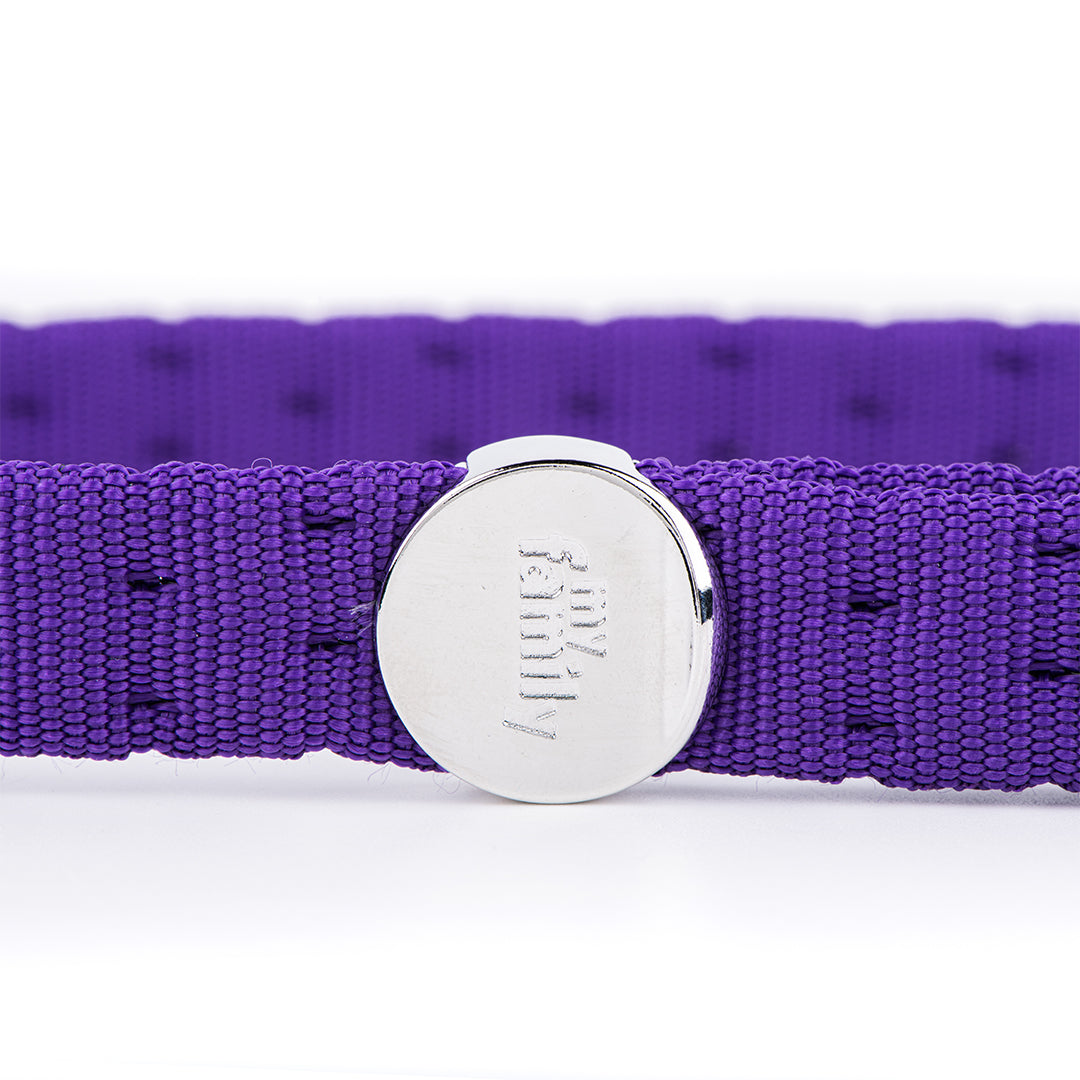 MyFamily Milano Dog Leash in Premier Quality Italian Purple Nylon
