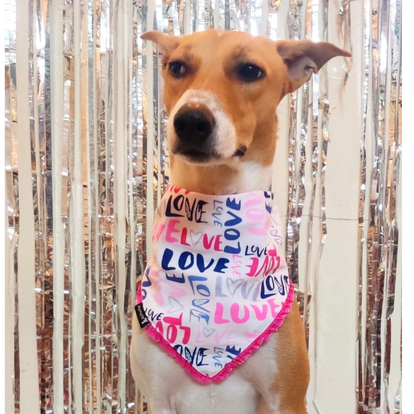 Love Print | Knot & Tie Bandana