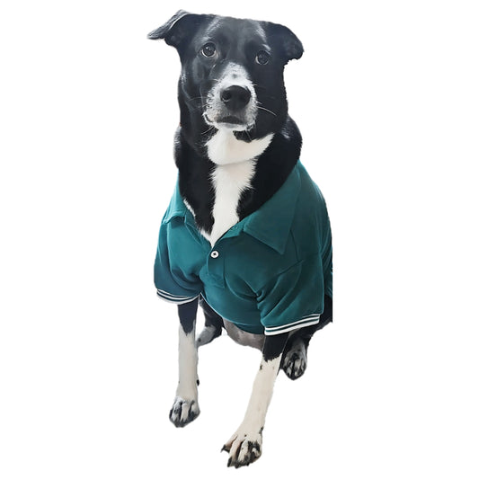 Polo T-Shirt (Unisex) - Teal Green