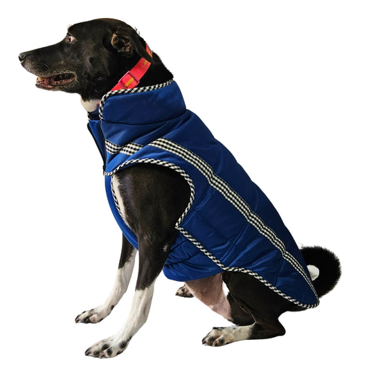 Pet Jacket - Electric Blue