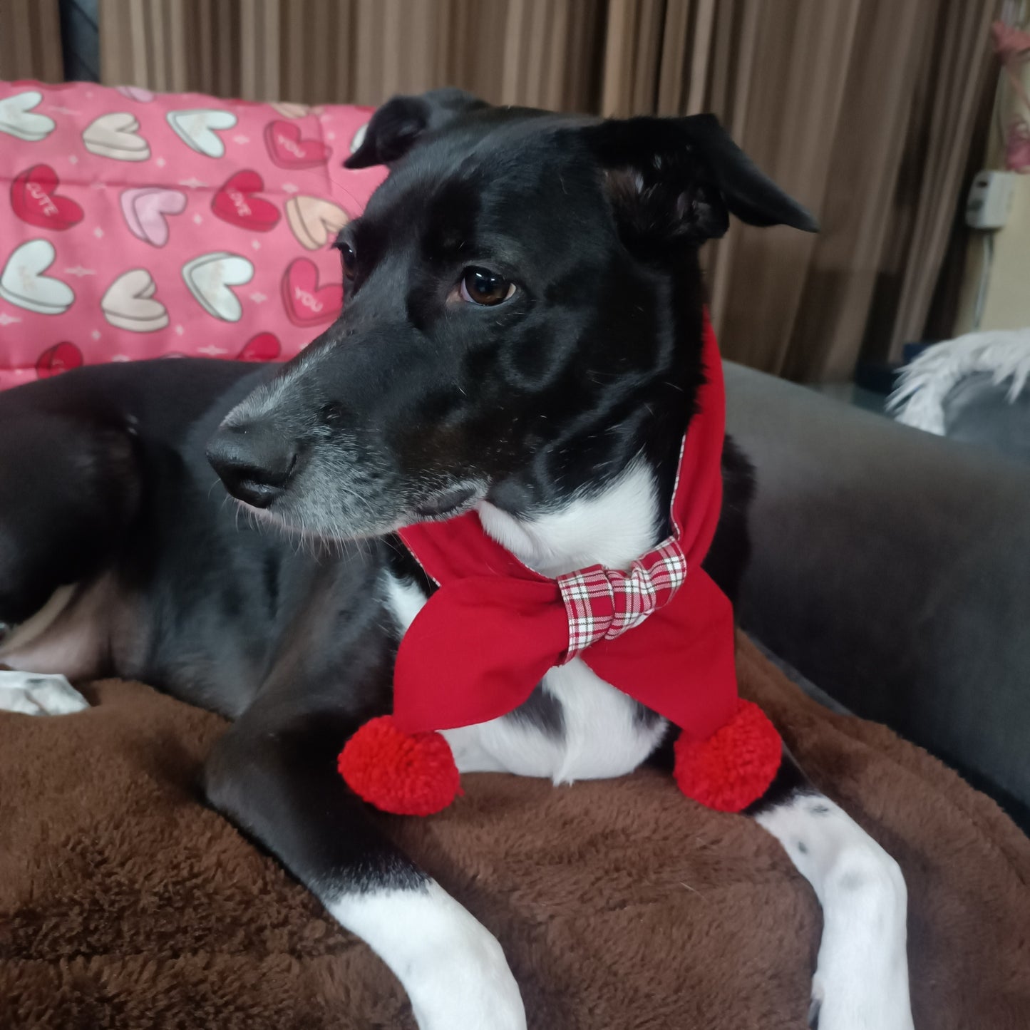 Red Christmas with Pom Pom Reversible Dog Scarf