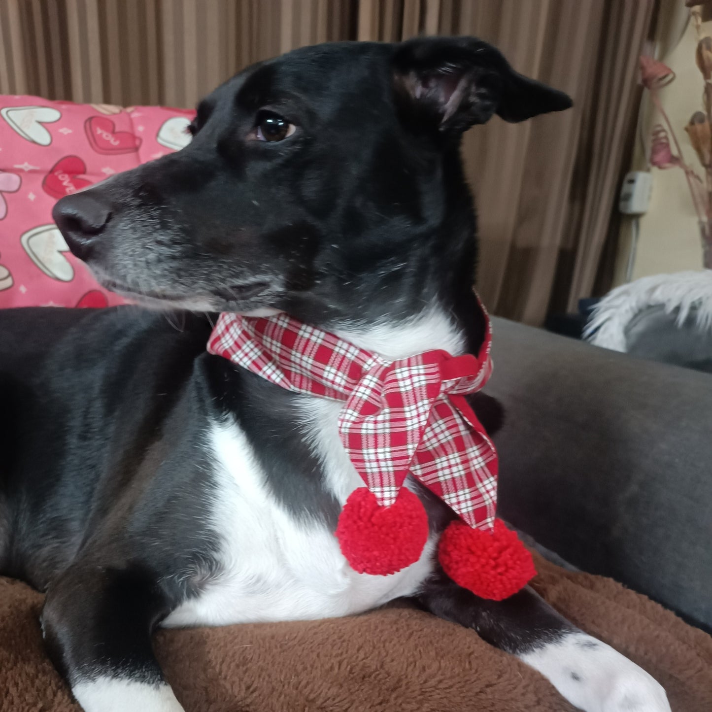 Red Christmas with Pom Pom Reversible Dog Scarf