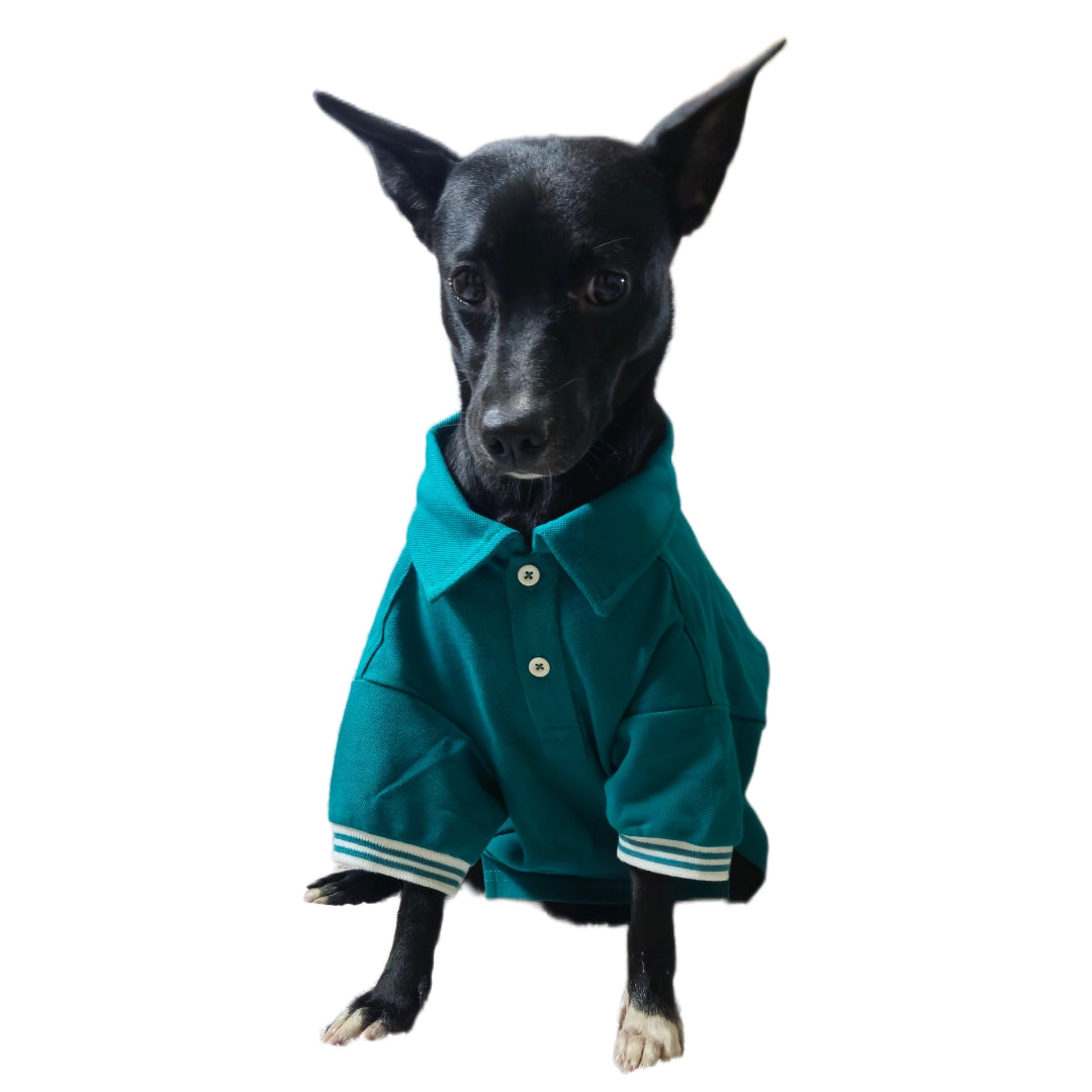 Polo T-Shirt with Skirt (Female Dogs) - Teal Green