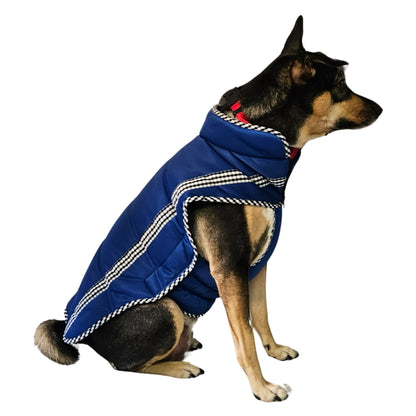 Pet Jacket - Electric Blue