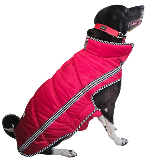 Pet Jacket - Ruby Red