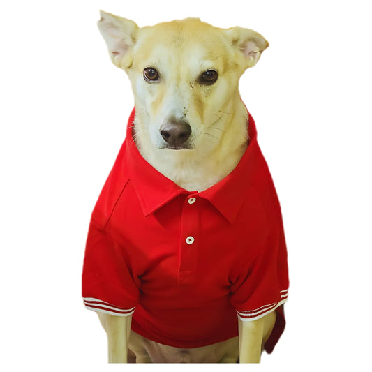 Polo T-Shirt (Unisex) - Classic Red