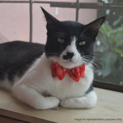 Pink Hearts Cat & Puppy Bow Tie | Snap-Buckle Closure | D-Ring Attachment