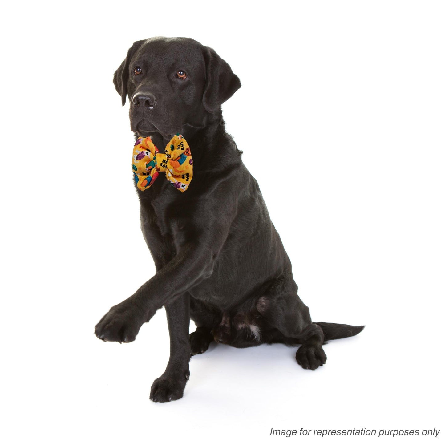 Yellow Dogs Print Bow Tie | Snap-Buckle Closure | D-Ring Attachment