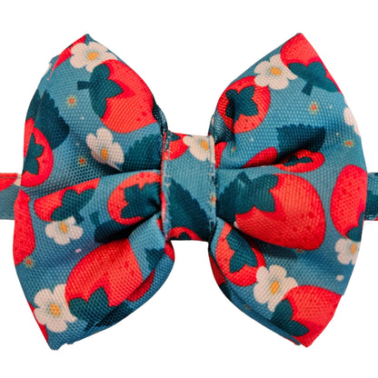 Blue & Red Strawberries Bow Tie | Snap-Buckle Closure | D-Ring Attachment