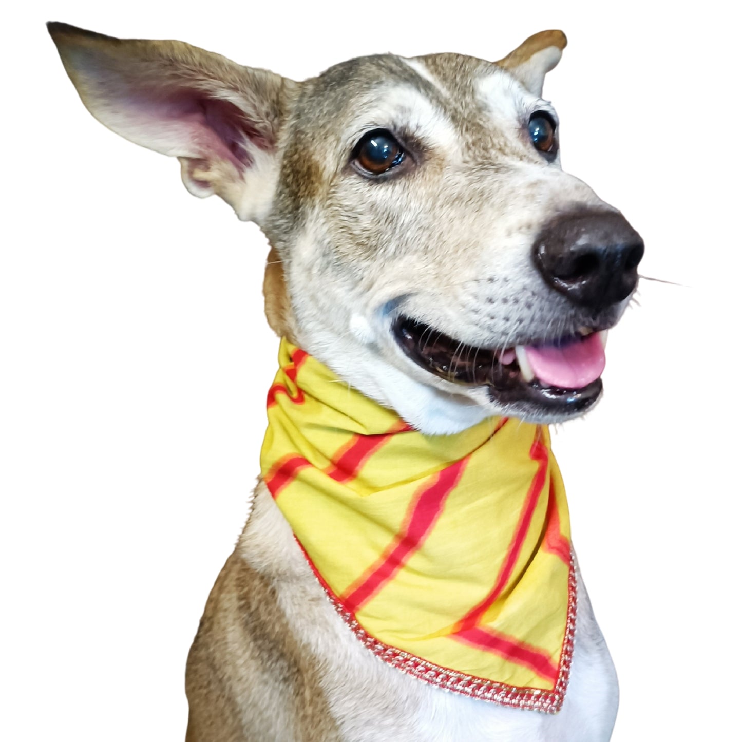 Yellow Tie & Dye | Knot & Tie Bandana