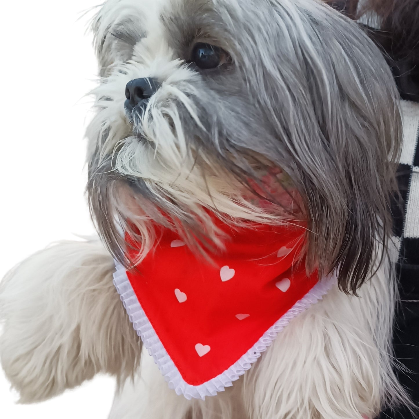 Orange Hearts | Knot & Tie Bandana