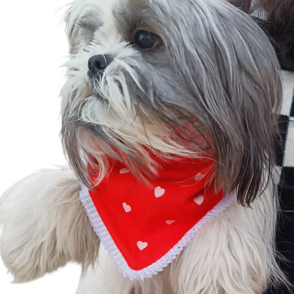 Orange Hearts | Knot & Tie Bandana