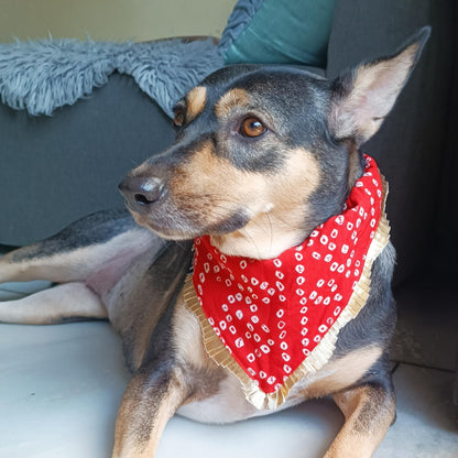 Rust Bandhani | Knot & Tie Bandana