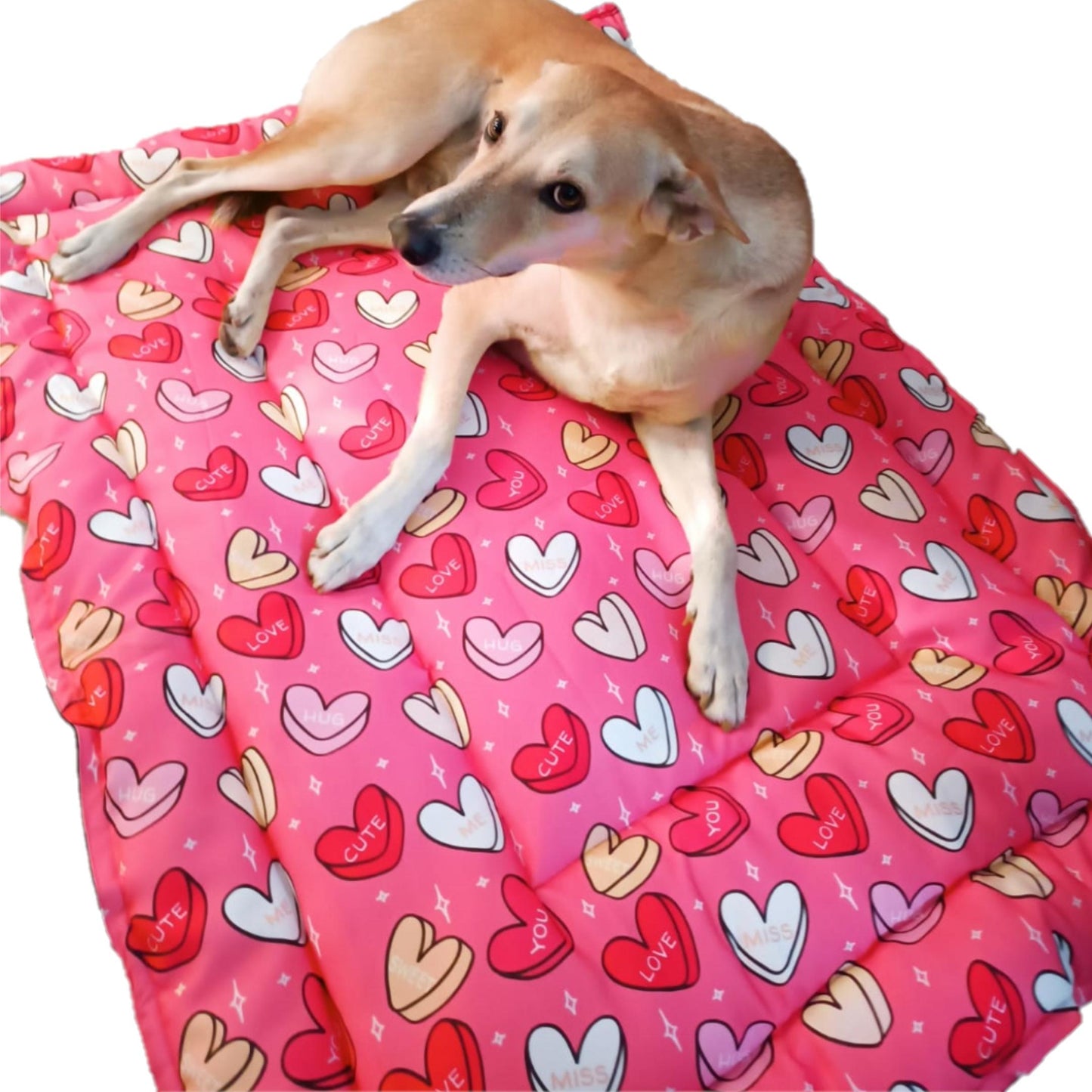 Pink Hearts Pet Mat