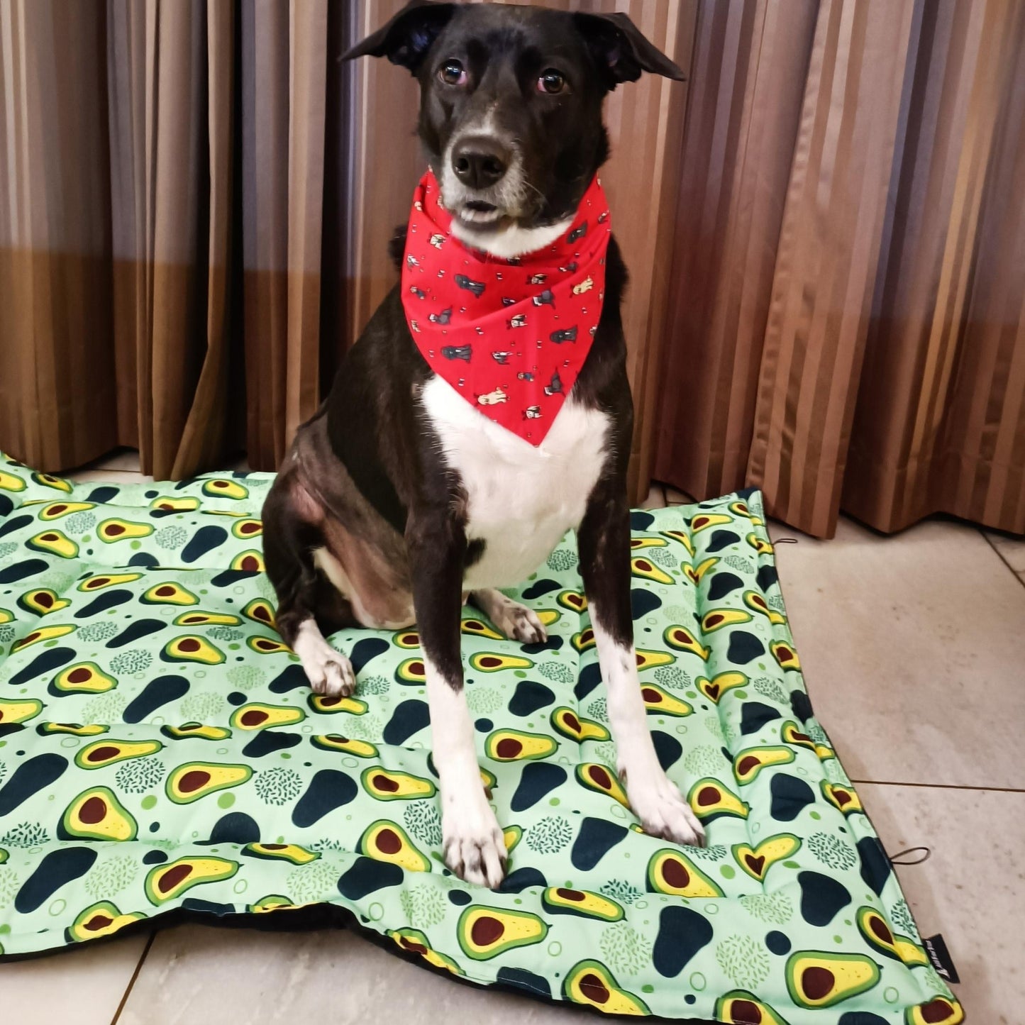 Avocados Print Pet Mat