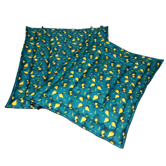 Green Pear Pet Mat