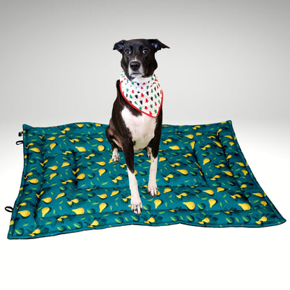 Green Pear Pet Mat