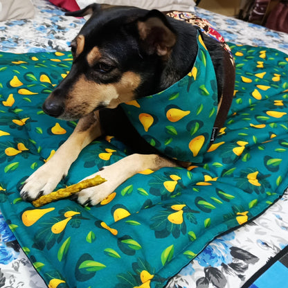 Green Pear Pet Mat