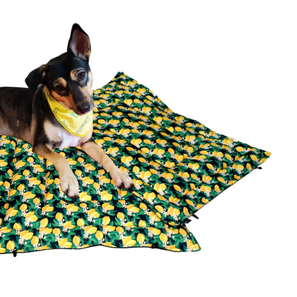 Green Amalfi Lemons Pet Mat