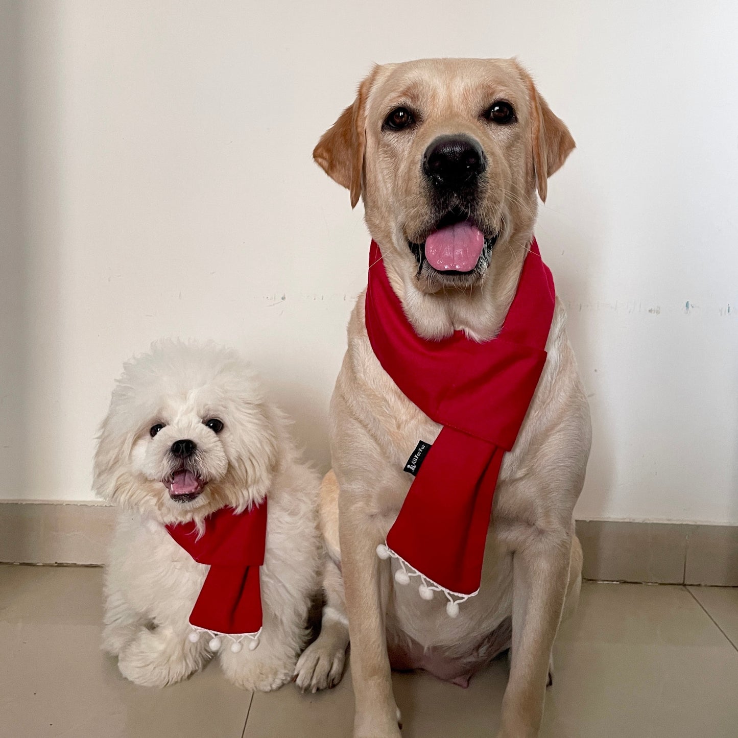 Red Christmas with White Pom Pom Dog Scarf