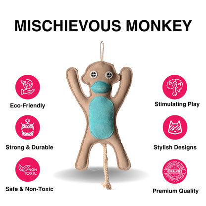 Mischievous Monkey | Dog Toy