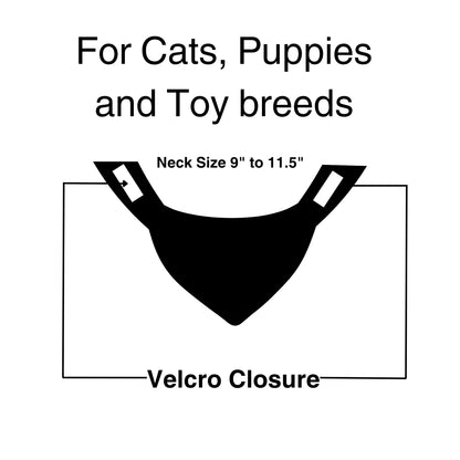 Blue Evil Eye | Velcro Cat & Puppy Bandana