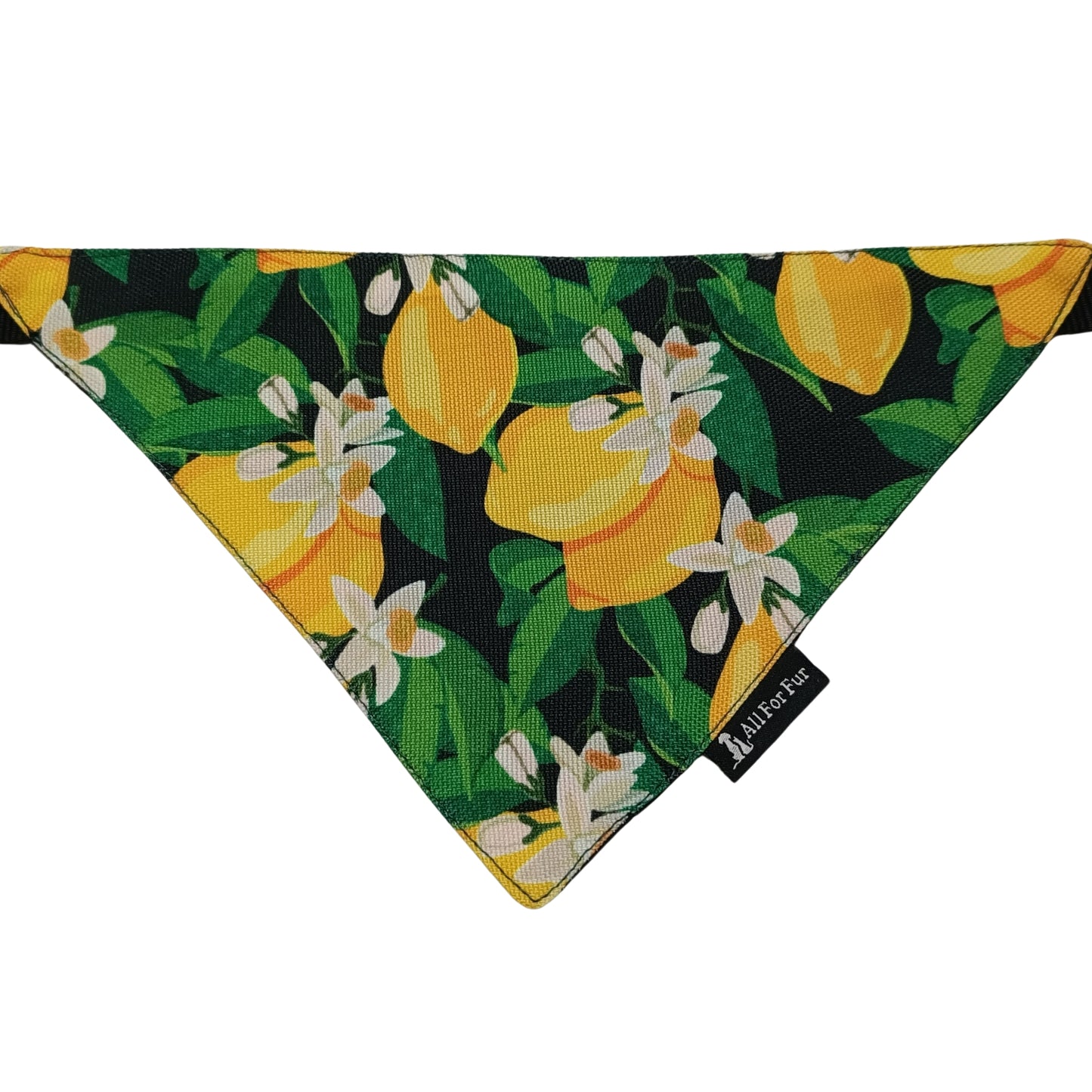 Green Amalfi Lemons Bandana | Snap-Buckle Closure