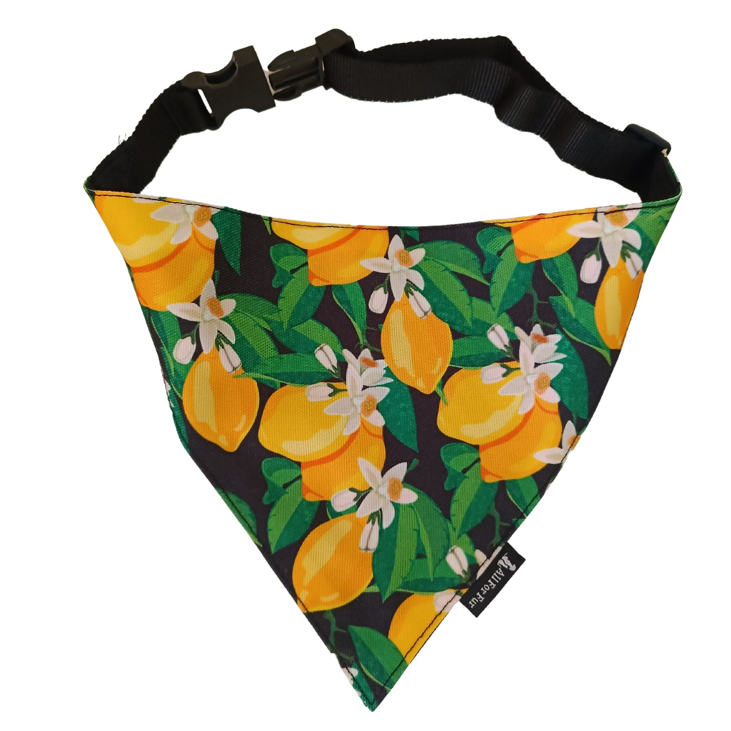 Green Amalfi Lemons Bandana | Snap-Buckle Closure