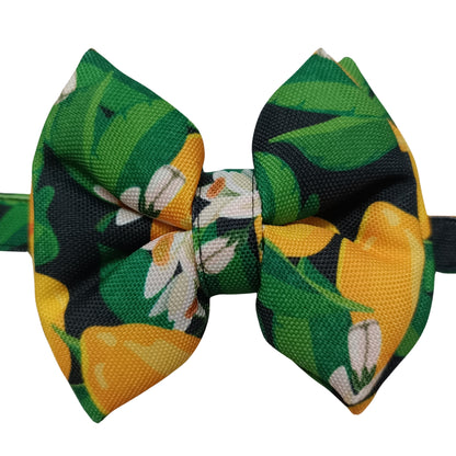 Green Amalfi Lemons Bow Tie | Snap-Buckle Closure