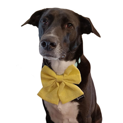 Dazzling Yellow Sailor Bow Tie | Collar Insert/ Pull On