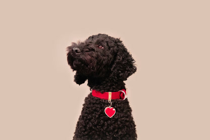 MyFamily Bilbao Dog Collar in Fine Crafted Red Leatherette
