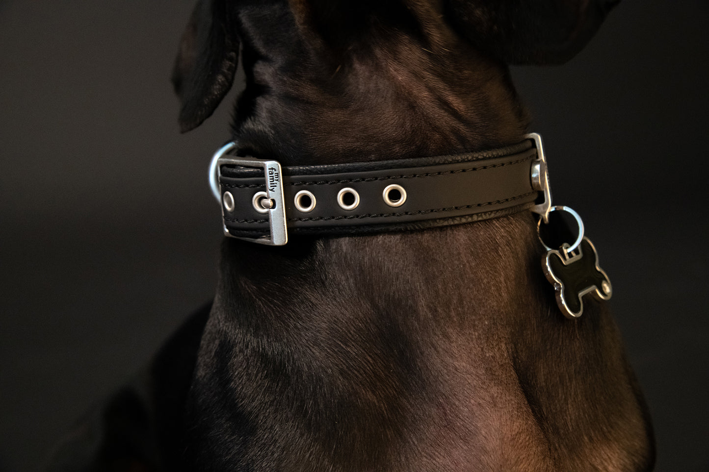 MyFamily Bilbao Dog Collar in Fine Crafted Black Leatherette