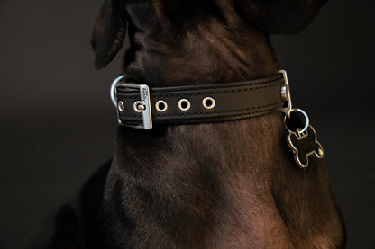 MyFamily Bilbao Dog Collar in Fine Crafted Black Leatherette