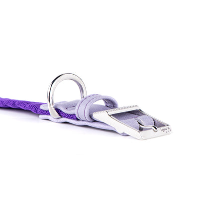 MyFamily Milano Dog Collar in Premier Quality Italian Purple Nylon