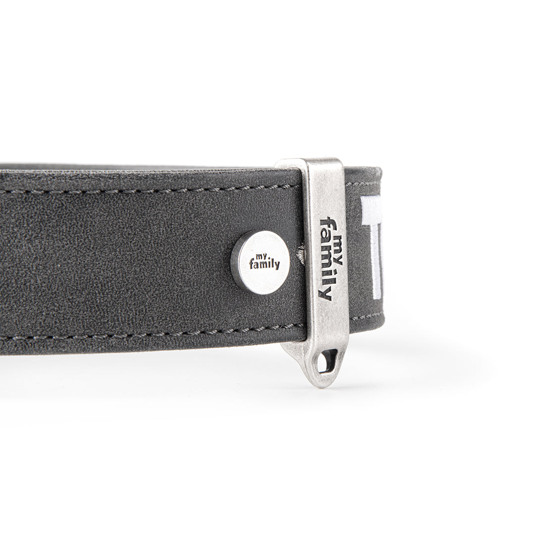 MyFamily Royal Dog Collar in Fine Crafted Grey Leatherette