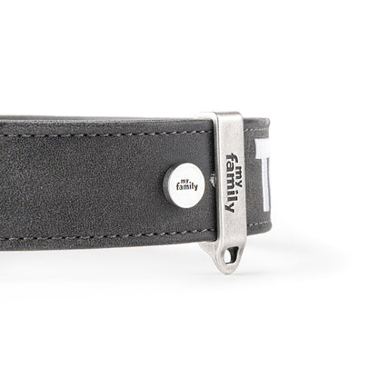 MyFamily Royal Dog Collar in Fine Crafted Grey Leatherette