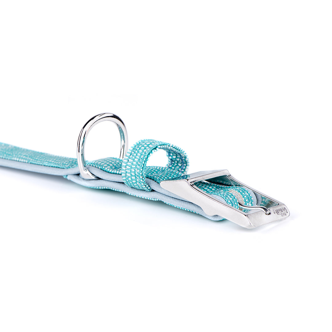 MyFamily Saint Tropez Dog Collar in Fine Crafted Turquoise Leatherette