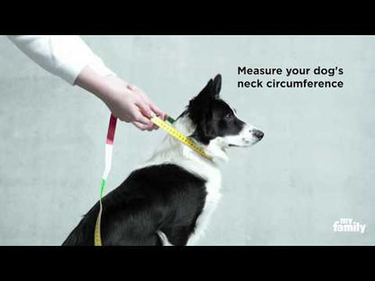 MyFamily Bilbao Dog Collar in Fine Crafted Blue Leatherette