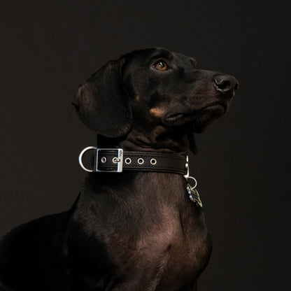 MyFamily Bilbao Dog Collar in Fine Crafted Black Leatherette