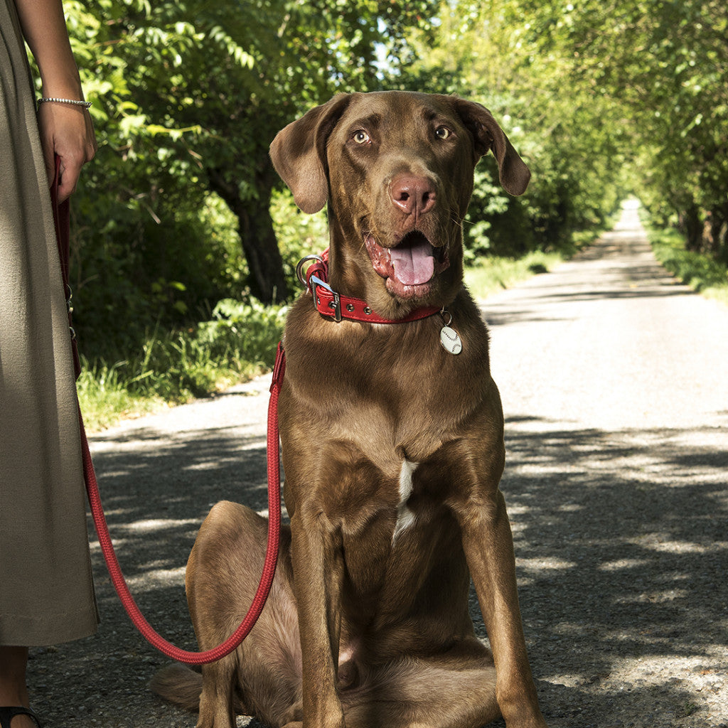 MyFamily Bilbao Dog Leash in Fine Crafted Red Leatherette and Rope