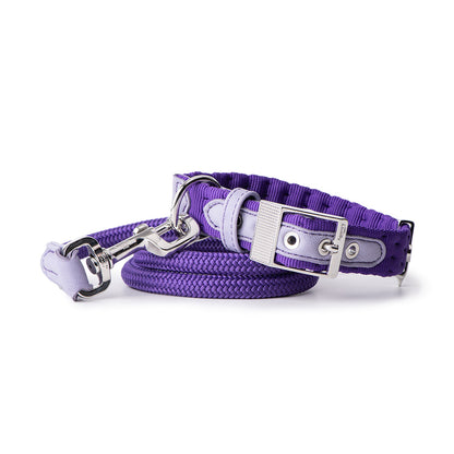 MyFamily Milano Dog Collar in Premier Quality Italian Purple Nylon